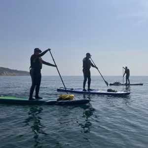 Three paddleboarders learning to sup on the coast on a calm day