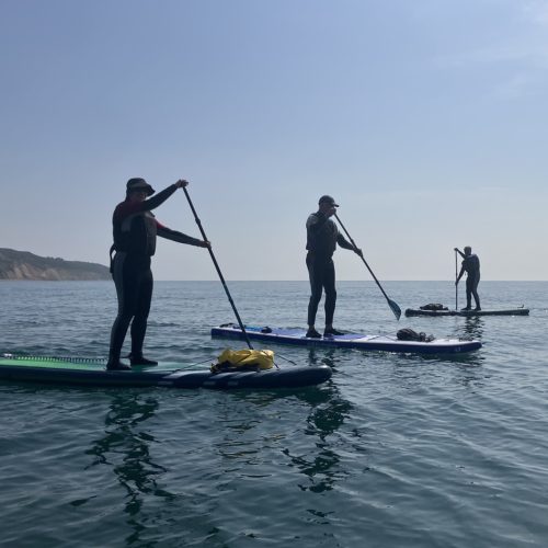 Three paddleboarders learning to sup on the coast on a calm day